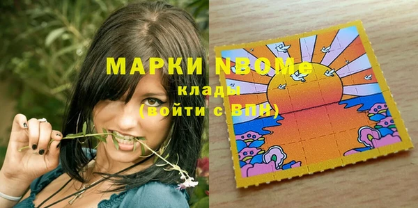 ешки Вяземский