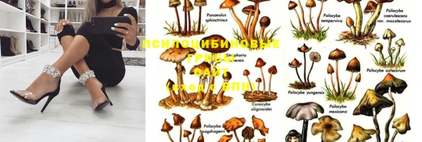 ешки Вяземский