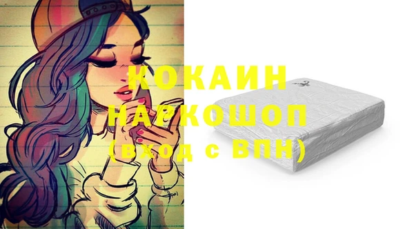 ешки Вяземский