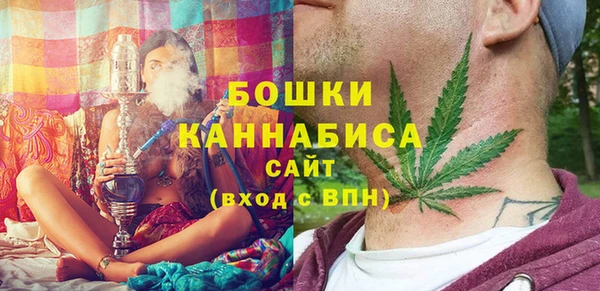 ешки Вяземский