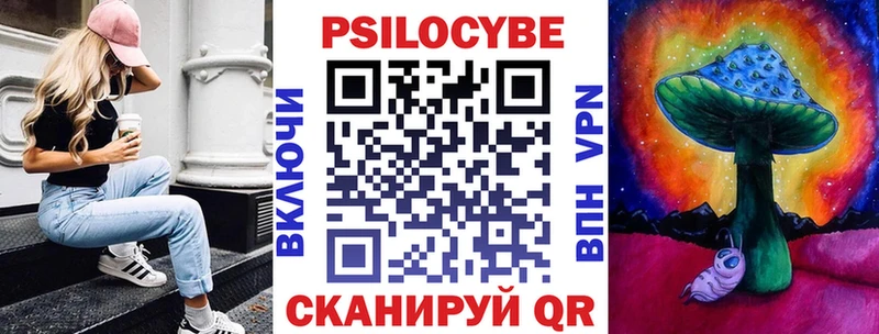 darknet клад  Томилино  Псилоцибиновые грибы прущие грибы  mega ONION 